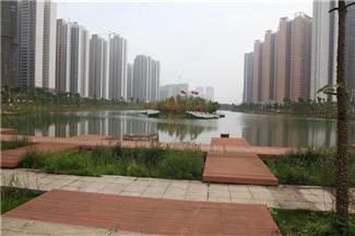来宾市中央绿化带开元电竞-开元(中国)
